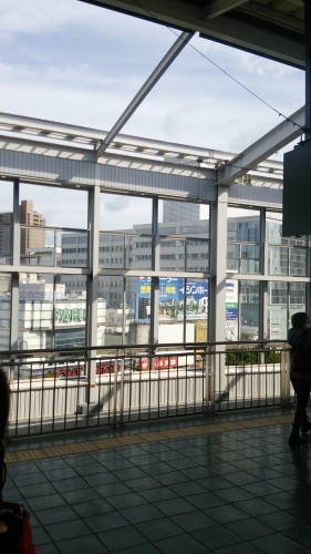 岡山の貴公子!!?_f0331129_08031736.jpg