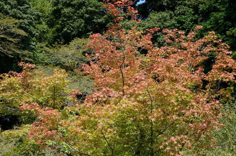 b0230131_68557.jpg