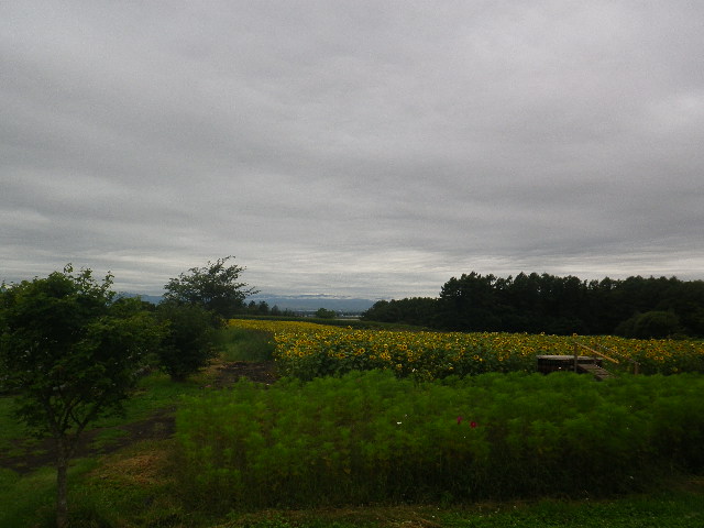 e0026331_7454062.jpg