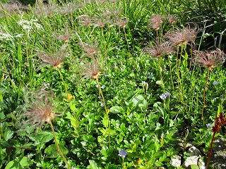 c0090236_1224455.jpg
