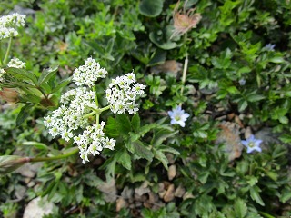 c0090236_12245083.jpg