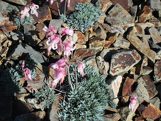 c0090236_1228635.jpg