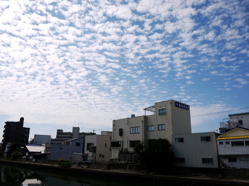 　　　　　四季・・・・・秋_b0093754_1634209.jpg