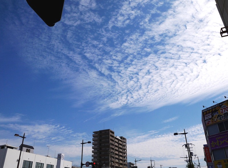 　　　　　四季・・・・・秋_b0093754_1634462.jpg