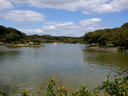 d0218056_330598.jpg
