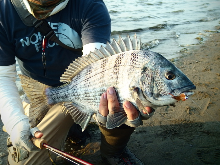 浜名湖へ！_e0212759_191682.jpg