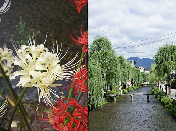 京都　岡崎～白川そぞろ歩き_e0177271_12530630.jpg