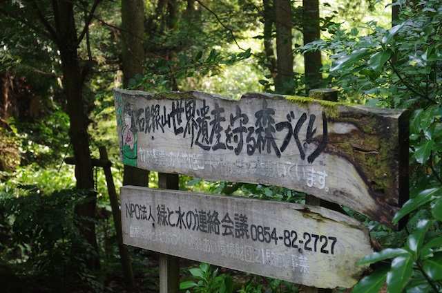 e0139376_1037750.jpg