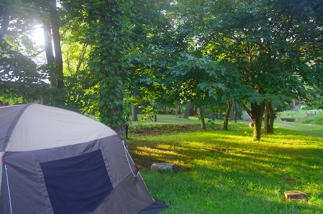 e0139376_108147.jpg