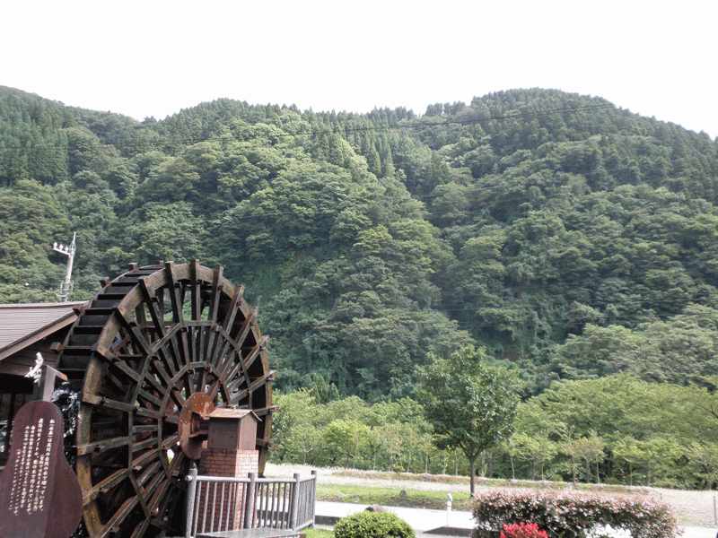 b0098881_2195458.gif