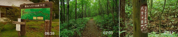 c0324983_23130934.jpg