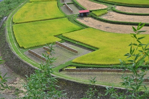 e0340485_11193739.jpg