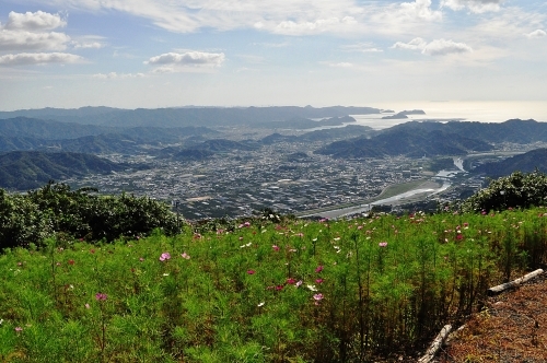 e0340485_11275842.jpg