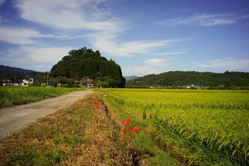c0338787_16172579.jpg