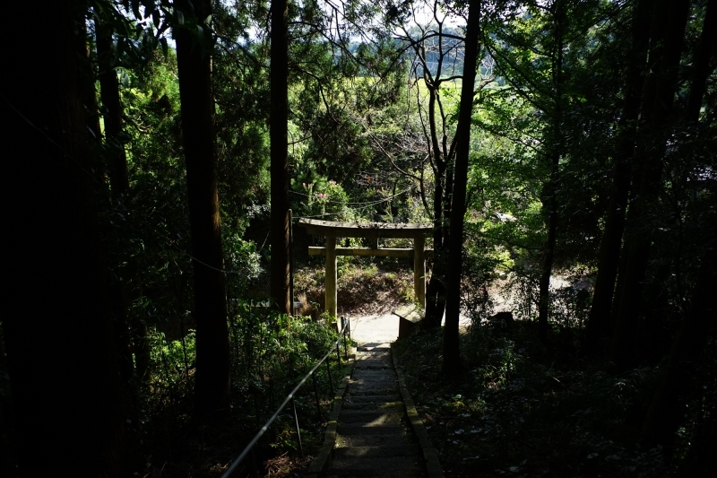 c0338787_16173794.jpg