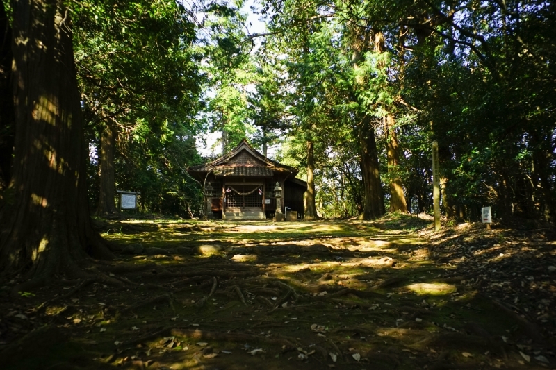 c0338787_16180425.jpg