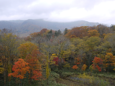 c0171889_17461010.jpg