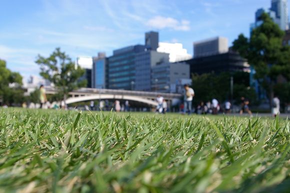 a0289993_16225793.jpg