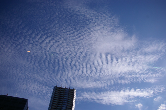 a0289993_16234160.jpg