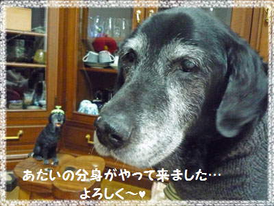 d0282395_611618.png
