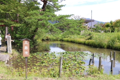 孫３人を連れて、まほろば古の歴史公園を初めて訪れる・・・４_c0075701_695284.jpg