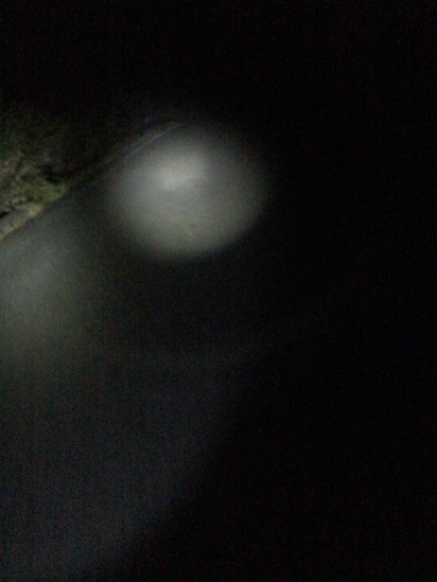 e0265002_12392743.jpg