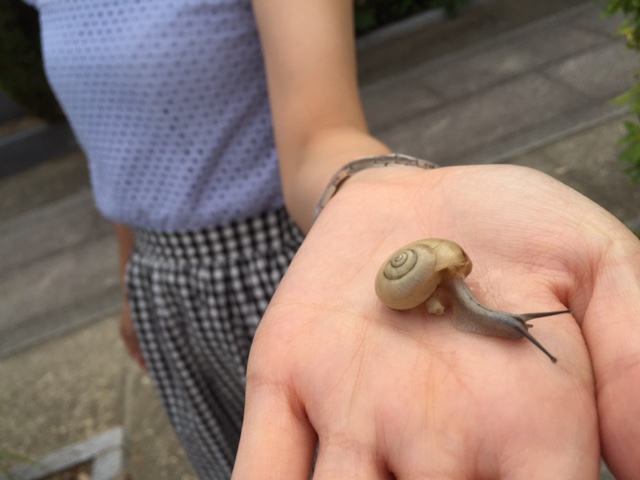 季節はずれのカタツムリ_a0326106_17531661.jpg