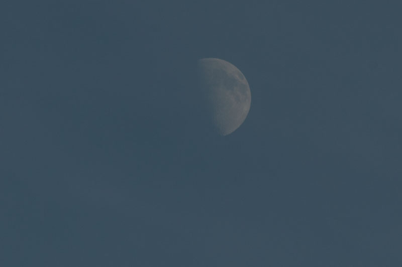 a0278914_17504016.jpg