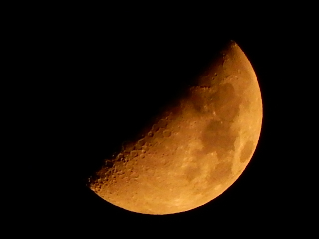 d0197317_18453891.jpg