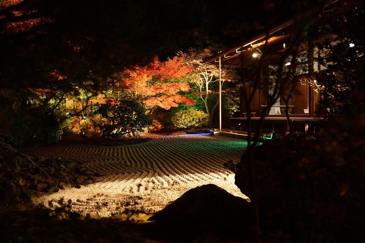 京都散策（青蓮院、圓光寺、etc）_e0346322_08405191.jpg