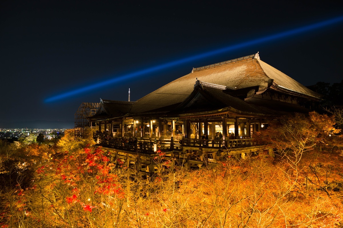 京都散策（青蓮院、圓光寺、etc）_e0346322_08405221.jpg