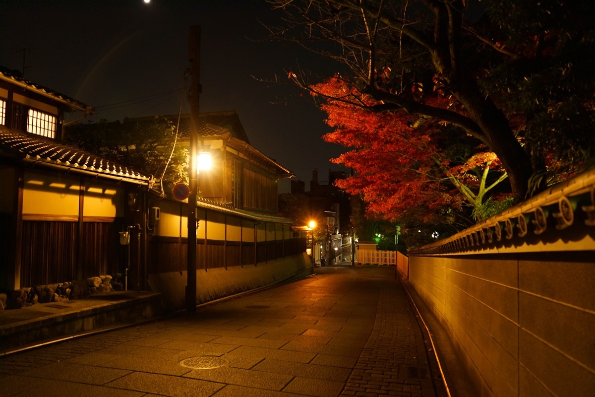 京都散策（青蓮院、圓光寺、etc）_e0346322_08405291.jpg