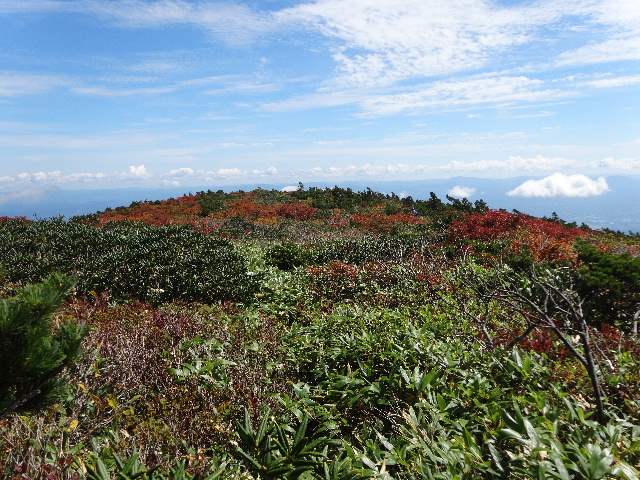 紅葉の始まった箕輪山に登る_c0141223_17738100.jpg