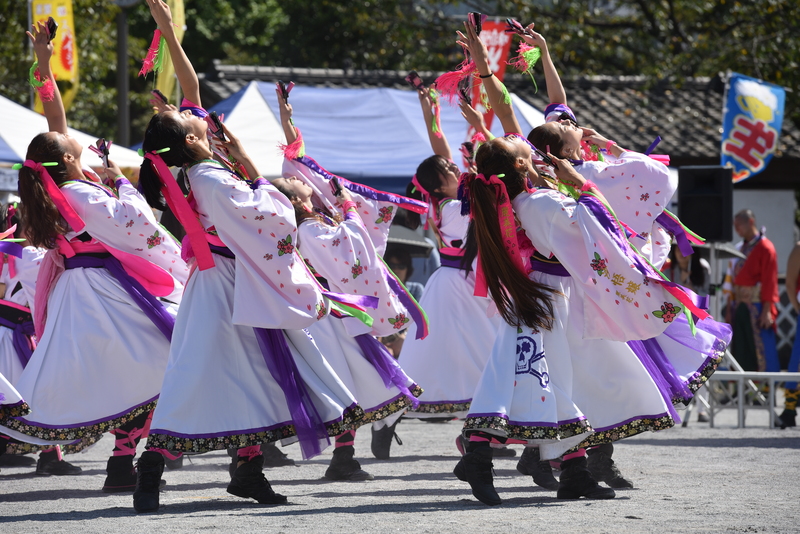 第十一回深川カーニバルよさこい祭り　深川公園広場_c0276323_23142537.jpg