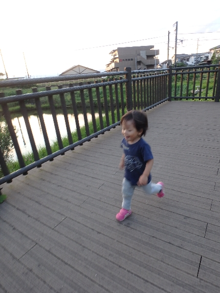c0113733_23322488.jpg