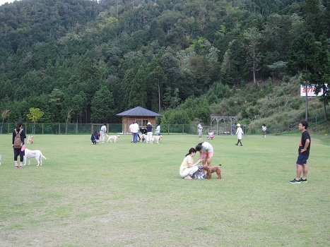 秋風が心地よい。_b0177436_12285268.jpg