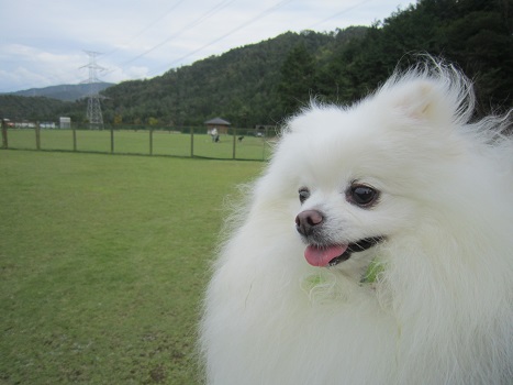 秋風が心地よい。_b0177436_1259815.jpg