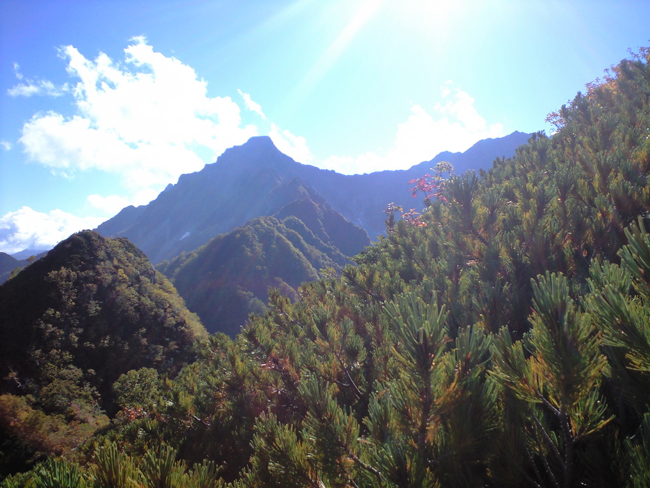 d0107938_10455037.jpg