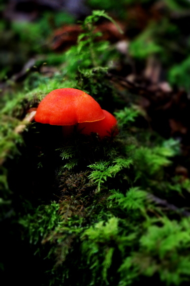 e0234741_21040168.jpg