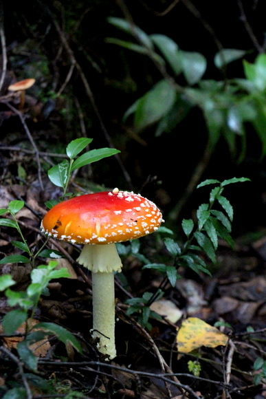 e0234741_21040173.jpg