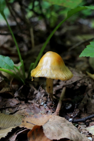 e0234741_21311753.jpg