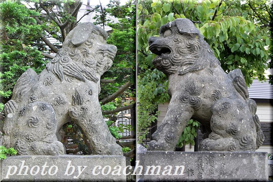 「石狩八幡神社」狛犬_a0315942_23311355.jpg