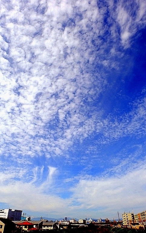 秋分の日_b0314043_21360907.jpg