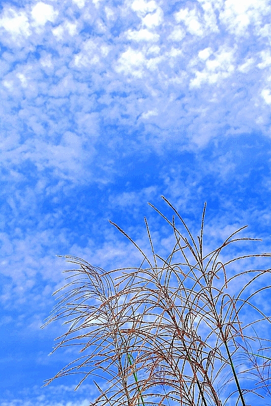 秋分の日_b0314043_21370955.jpg