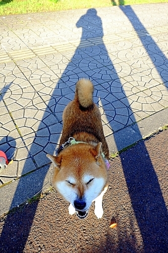 秋分の日_b0314043_21572674.jpg