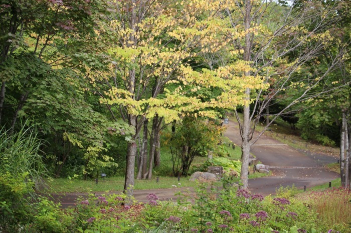 ９月２０日　滝野すずらん公園　２_b0250154_06404933.jpg