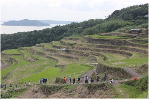 それぞれの棚田風景_e0139859_16272474.jpg