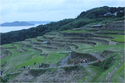 それぞれの棚田風景_e0139859_16283725.jpg