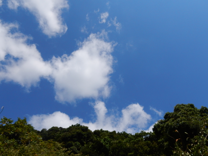 ’15,9,22(火)秋の空って素晴らしい!_f0060461_13305483.jpg