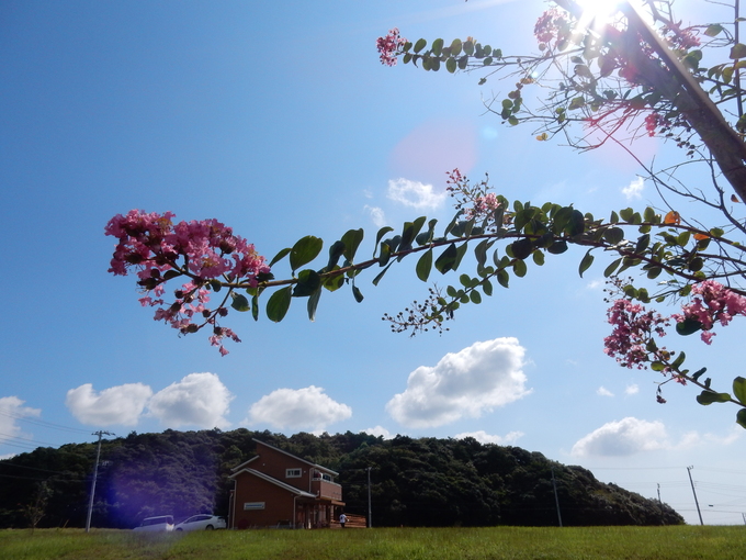 ’15,9,22(火)秋の空って素晴らしい!_f0060461_13332767.jpg